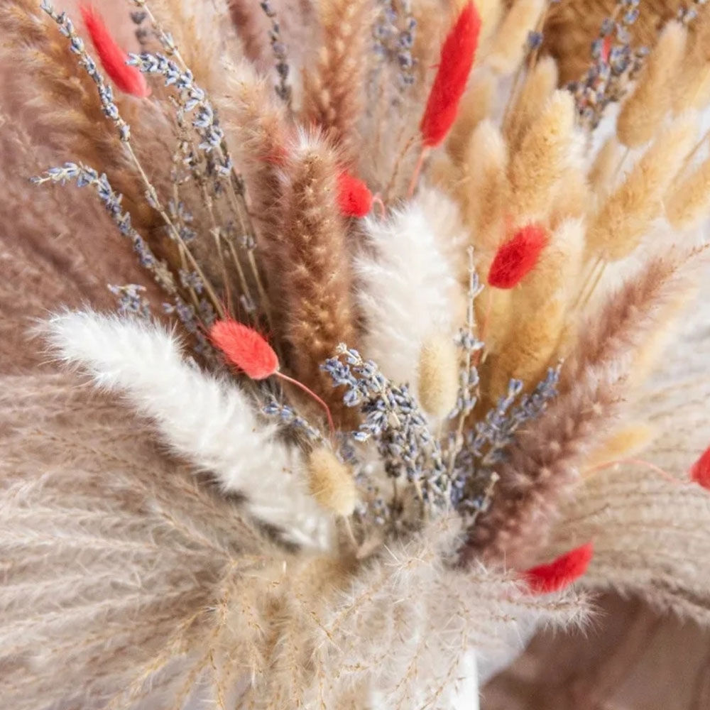 Natural Pampas Lavender Dried  - Pampas Grass Decor 评论和价格