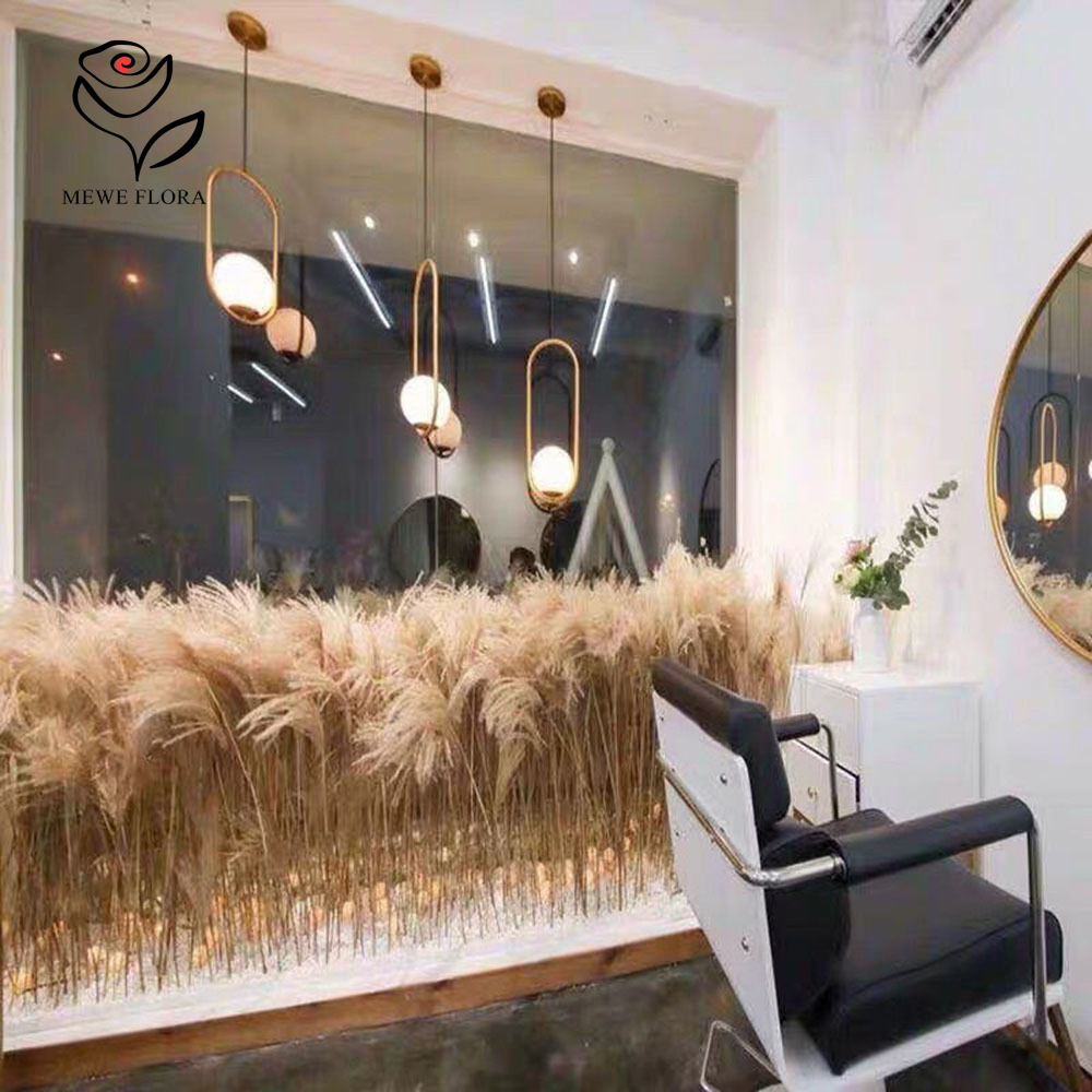 200PCS Natural Dried Fluffy Re - Pampas Grass Decor 评论和价格